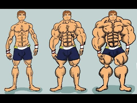 Средства для набора массы мышц